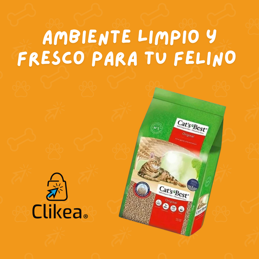 ¡Descubre el Secreto de los Gatitos Felices! 🐾🌿