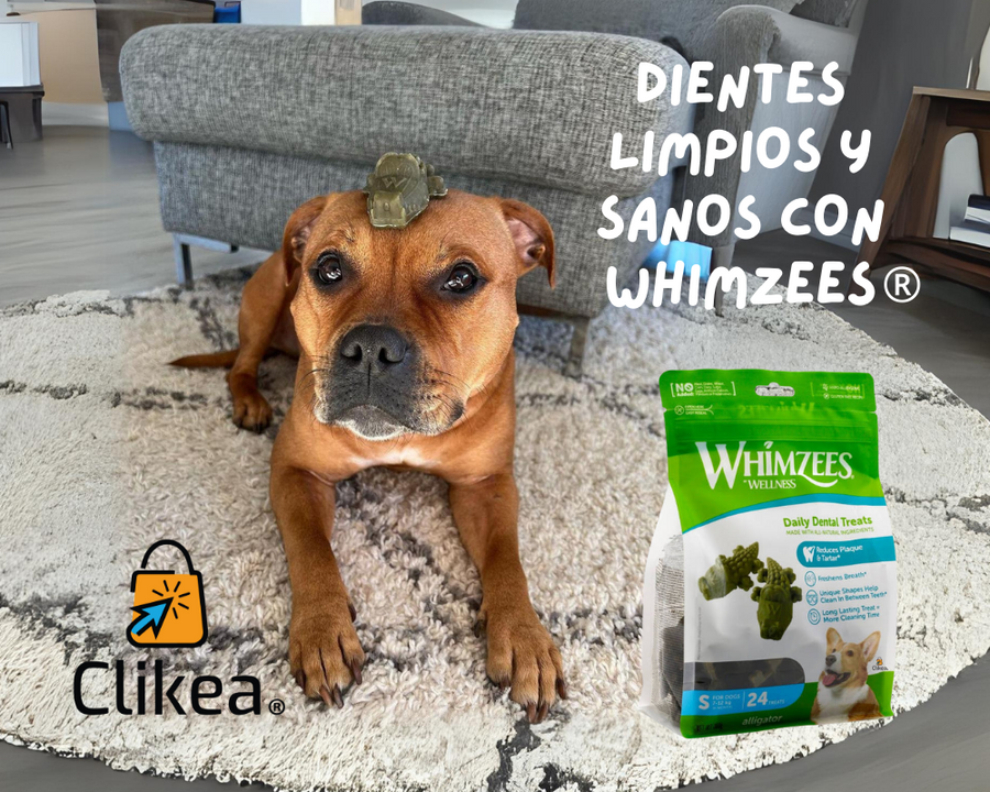 Whimzees: El Capricho Dental Recomendado por Veterinari