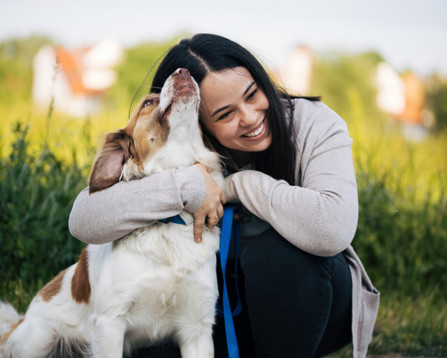 Cómo Consentir a tus Peluditos en el Día Mundial del Perro
