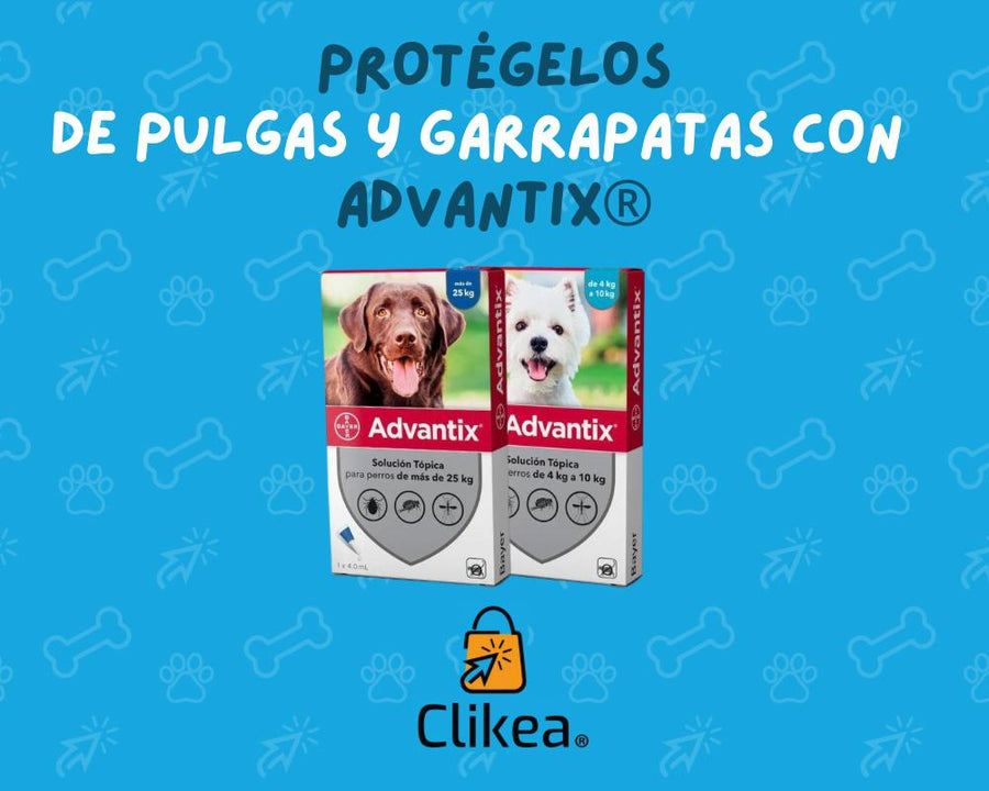 Advantix para Perros y Gatos: Protección Eficaz contra Parásitos