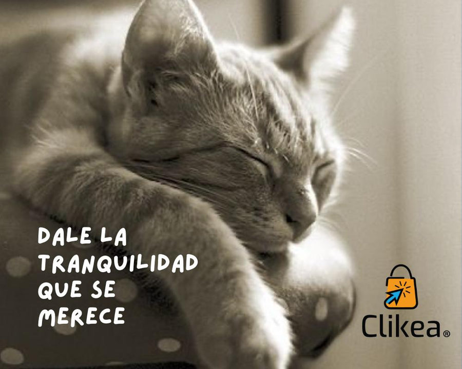 ¡Gatos felices y hogares tranquilos! Descubre cómo Feliway Classic Difusor puede hacer maravillas para tu minino