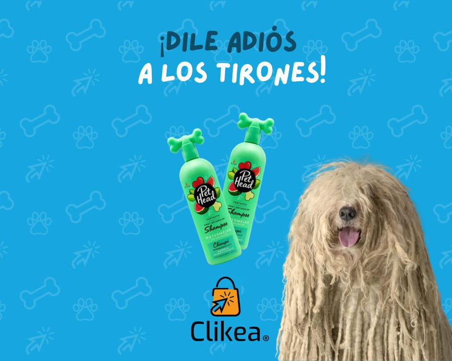 Los Beneficios de Usar Pet Head Shampoo Desenredante Furtastic Sandia 475 Ml