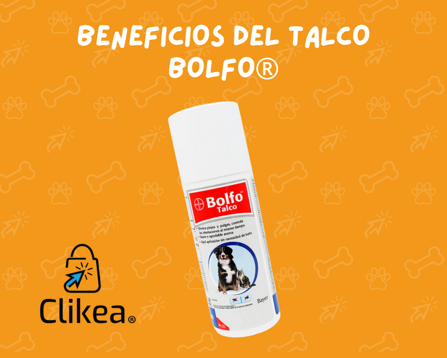 Los Beneficios de Usar Bolfo para el Control de Parásitos en Mascotas