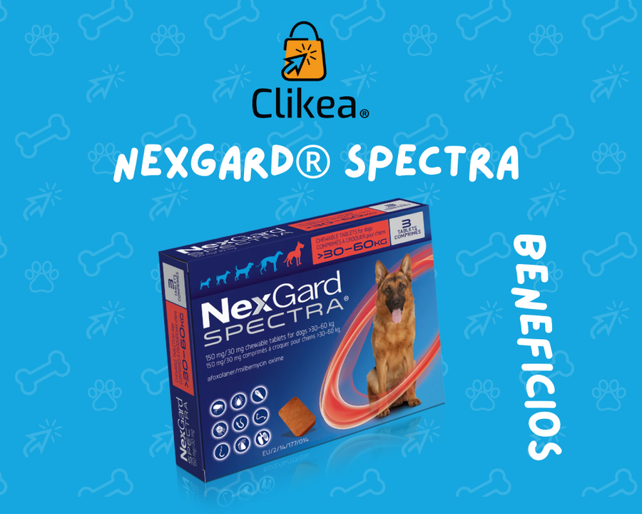 Descubre los Increíbles Beneficios de NexGard Spectra para tu Perrito