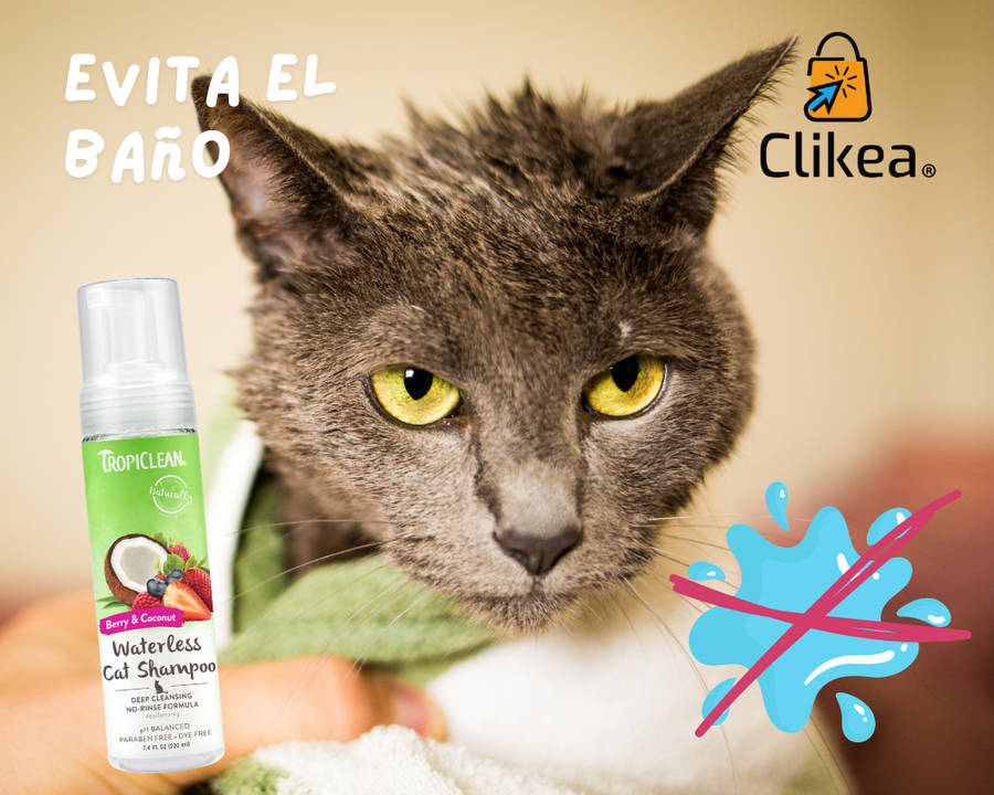 TropiClean Shampoo Para Gatos: Solución Práctica y Refrescante