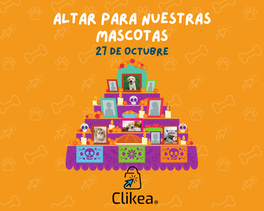 Cómo Hacer un Altar a tu Mascota: Un Homenaje Especial 🐾