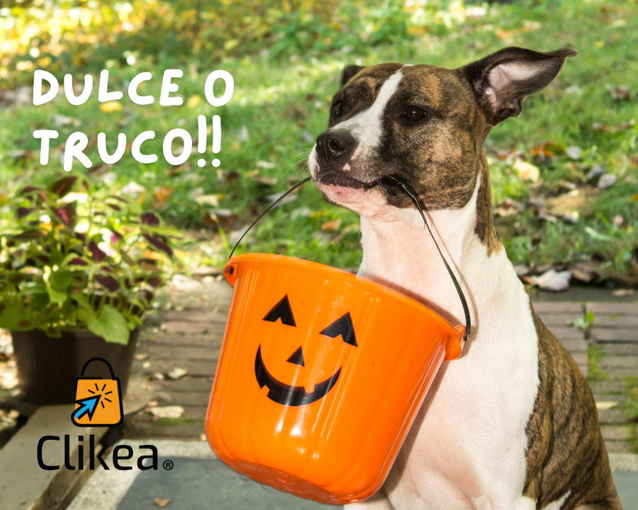 Halloween con Mascotas: ¡Dulces o Travesuras Saludables!