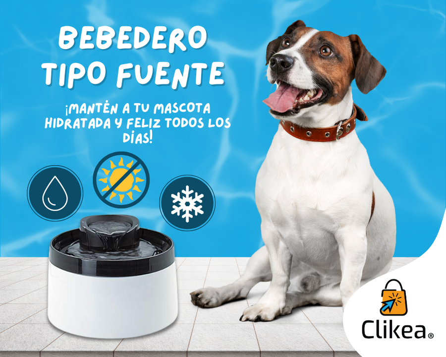 Tipos de Bebederos para Mascotas: Elige el Mejor para tu Compañero