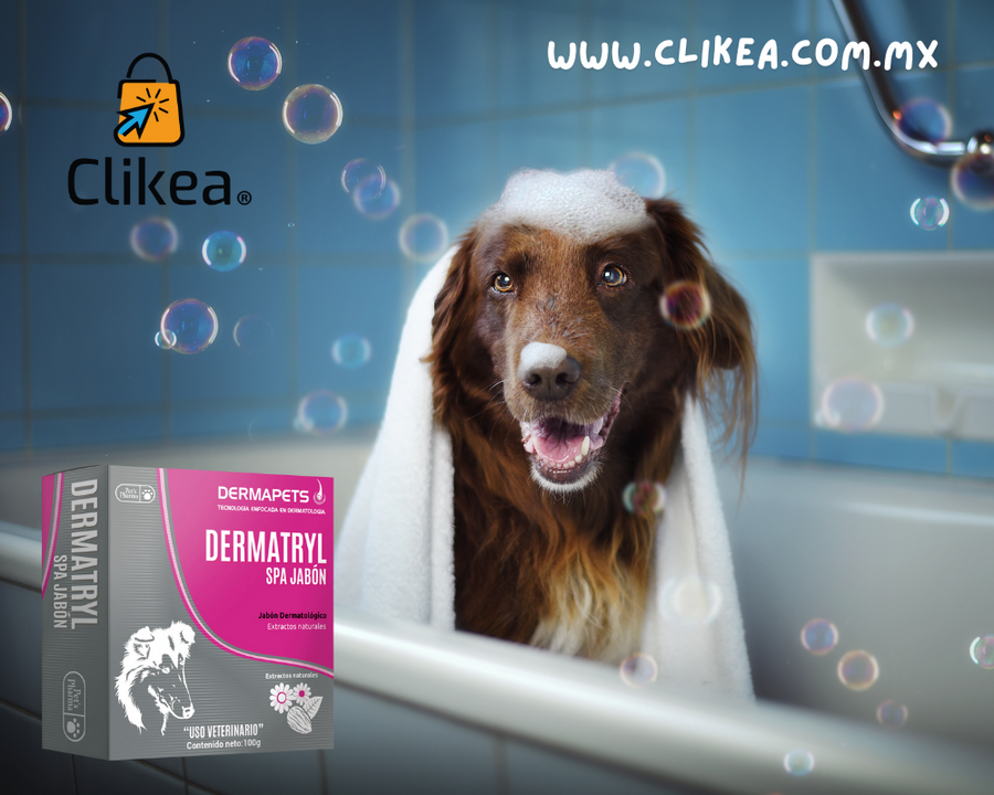 Dermatryl Spa: La Solución Suave para Problemas Dermatológicos en Perros