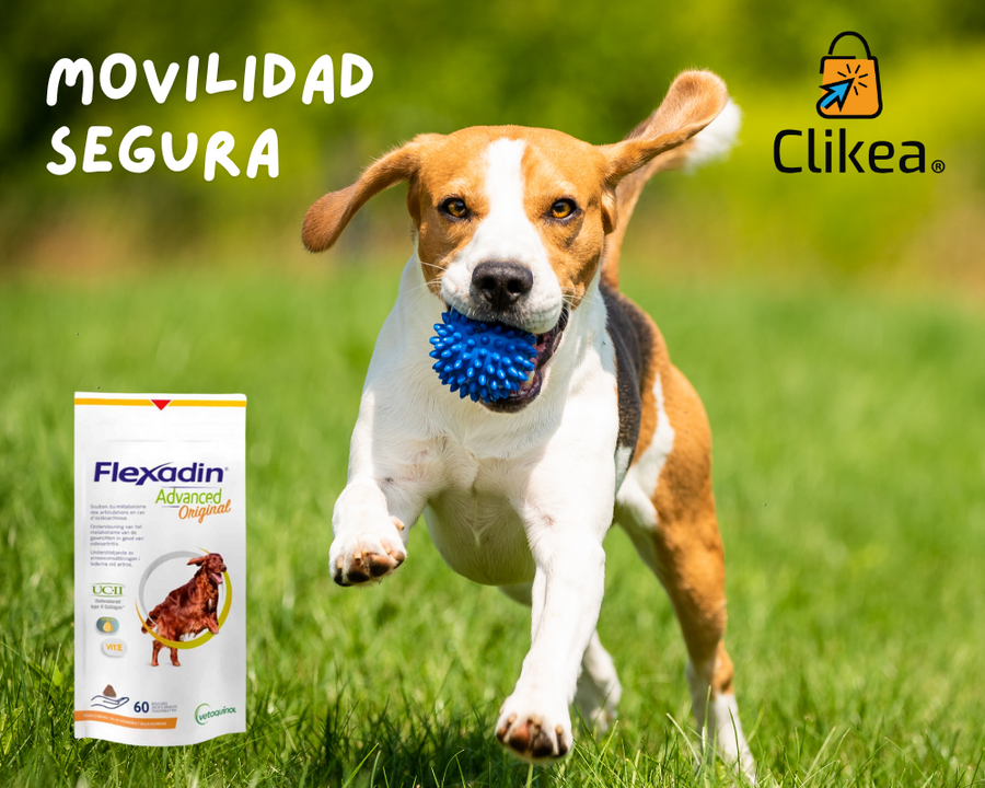 Flexadin Advanced: Tu Aliado en la Lucha contra la Artrosis