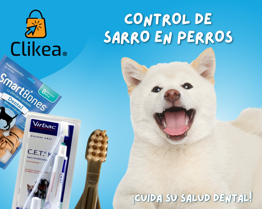 Previene el Sarro en Perros y Cuida su Salud Bucal 🦷🐶
