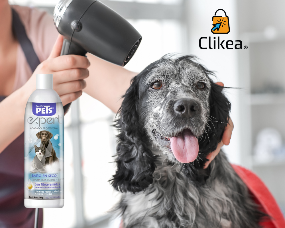 Explorando la Alternativa: Baños en Seco con Shampoo Especial para Mascotas en Temporada de Frío
