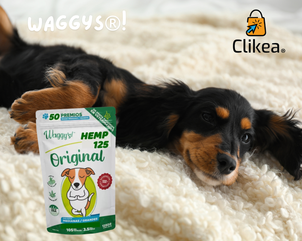Waggys: El Toque Mágico de CBD para que tus Perros Disfruten las Fiestas sin Estrés