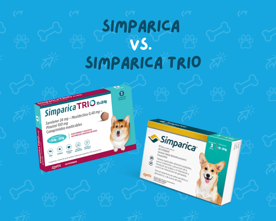 Simparica vs. Simparica Trio: Comprendiendo las diferencias entre antiparasitarios