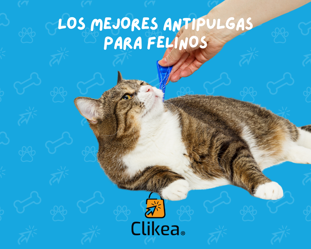 Los mejores antipulgas para gatos: Protege a tu minino con eficacia