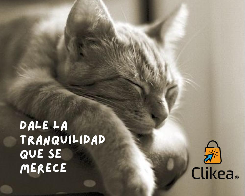 ¡Gatos felices y hogares tranquilos! Descubre cómo Feliway Classic Difusor puede hacer maravillas para tu minino
