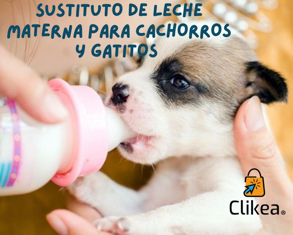 Productos de Sustituto de Leche para Cachorros y Gatitos: Cuándo y Cómo Usarlos