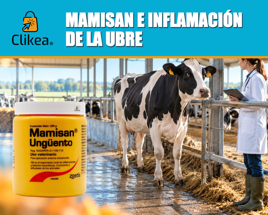 Mamisan e inflamación de la ubre. Logo oficial de Clikea, envase real de Mamisan y una vaca observada por veterinaria. Imagen mejorada desde las fotos del usuario, con envase sin fondo y márgenes amplios.