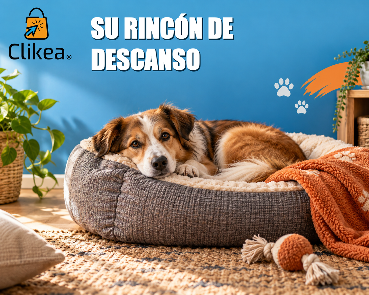 Perro descansa en una cama cómoda con manta naranja; portada azul con el logo oficial CLIKEA