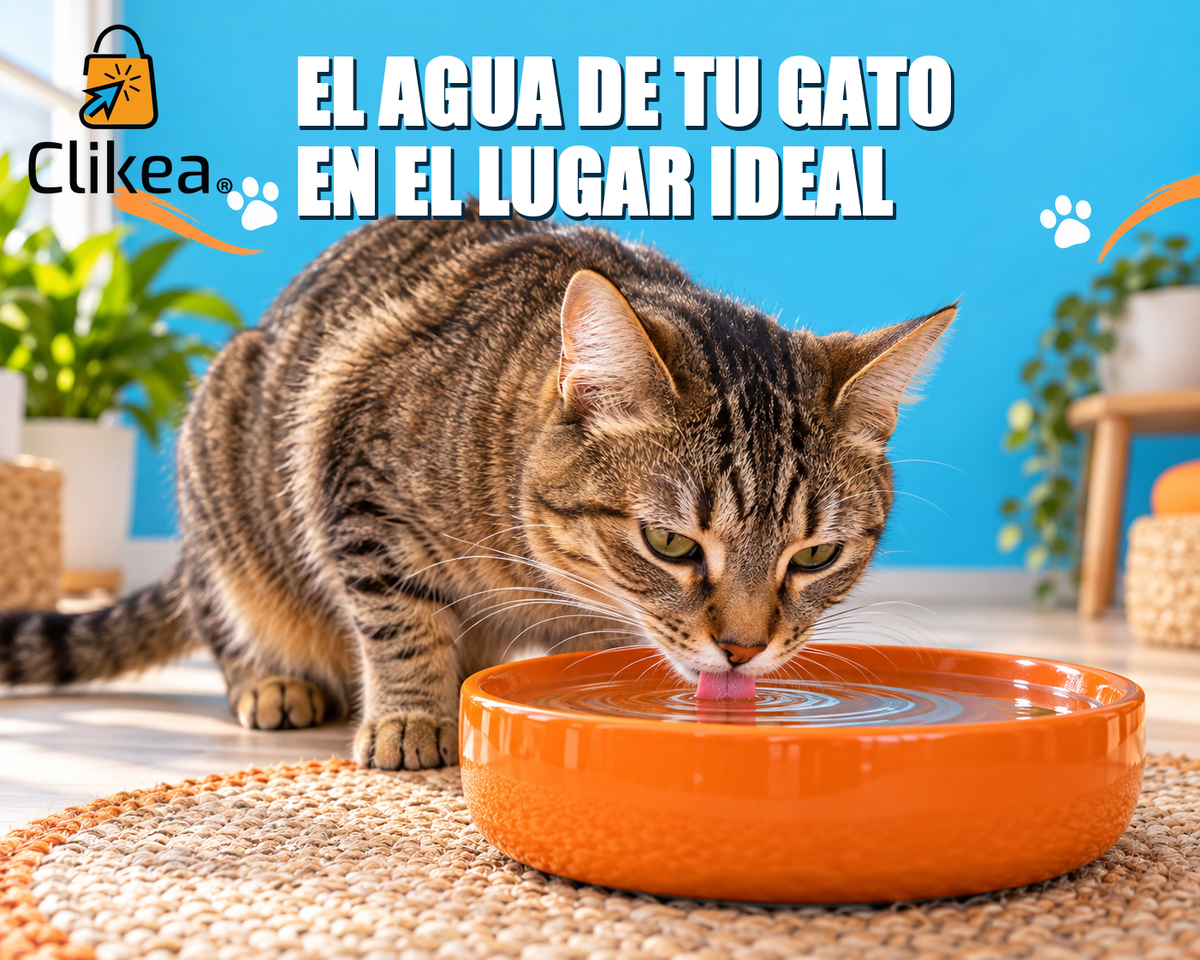 Gato bebe agua de un tazón naranja en un espacio tranquilo; portada azul con el logo original CLIKEA