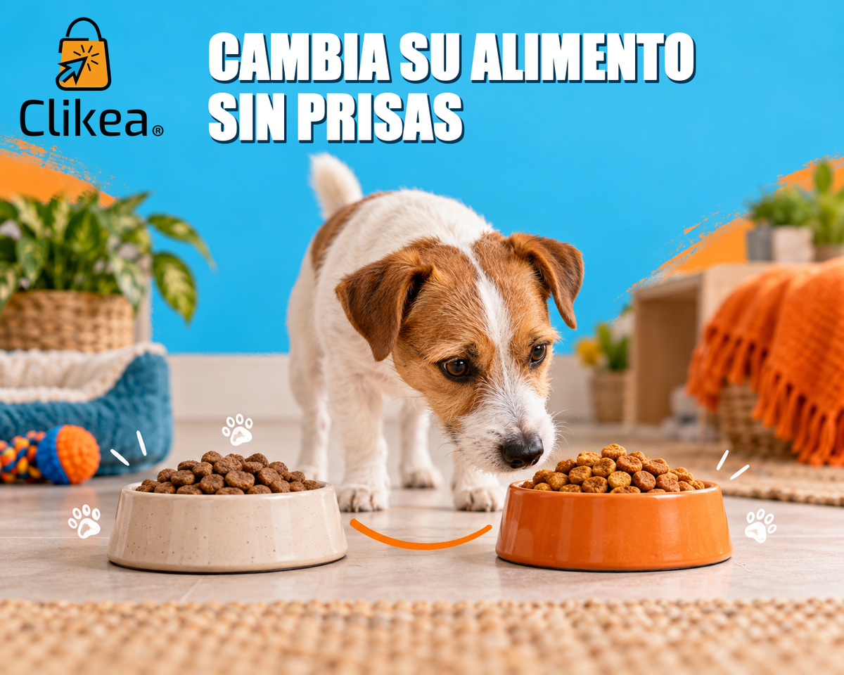 Perro observa dos tazones de alimento durante una transición gradual; portada con logo oficial CLIKEA