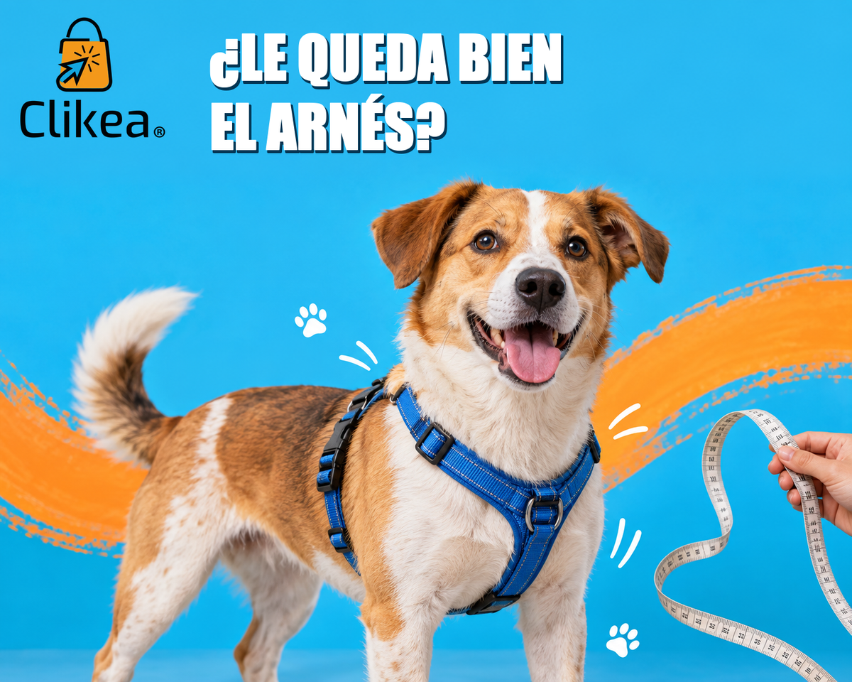 Perro con arnés azul y cinta de medir; portada con el logo oficial CLIKEA