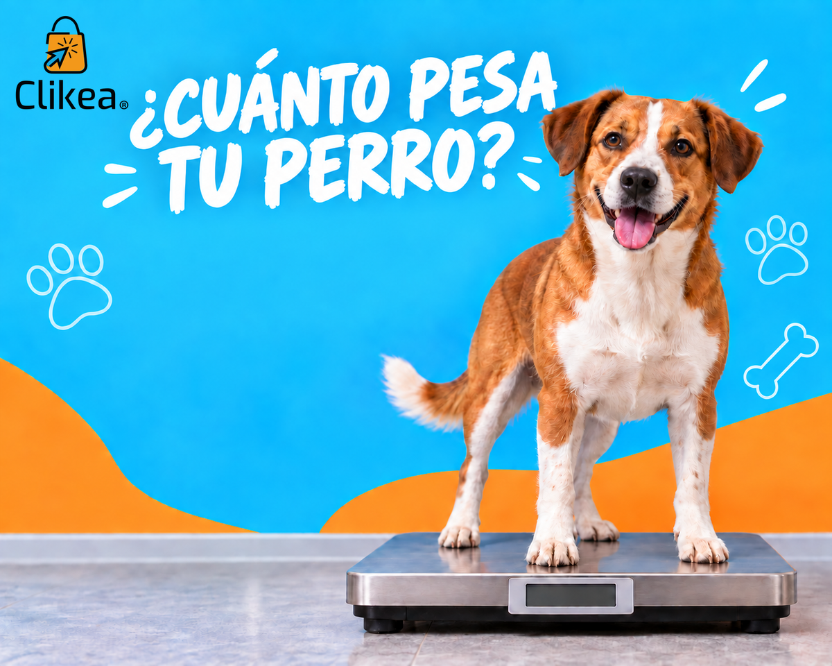 Portada CLIKEA con logo oficial, perro sobre báscula y título «¿Cuánto pesa tu perro?»