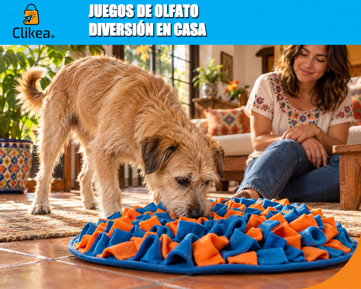 Juegos de olfato: diversión en casa. Perro explora un tapete azul y naranja bajo supervisión; logo oficial de Clikea.