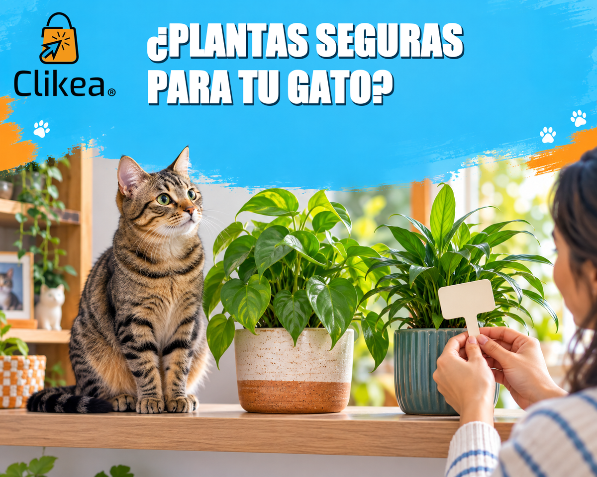 Gato junto a plantas de interior mientras una persona revisa su identificación; portada con logo oficial CLIKEA