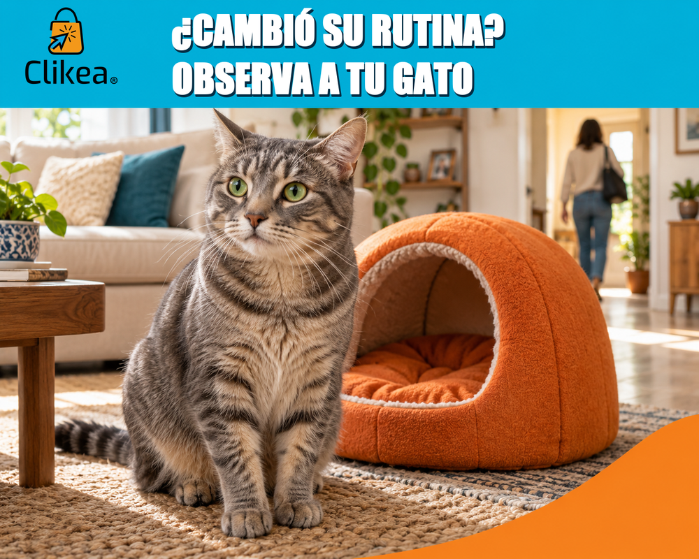 ¿Cambió su rutina? Observa a tu gato. Gato atigrado junto a un refugio naranja en casa y logo oficial de Clikea.