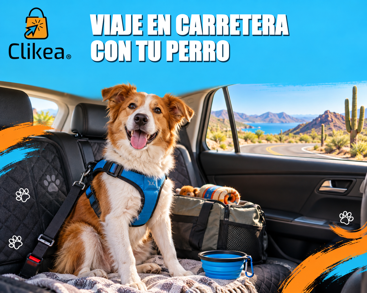 Perro sujeto en el asiento trasero del automóvil con agua y equipaje de viaje; portada con logo oficial CLIKEA