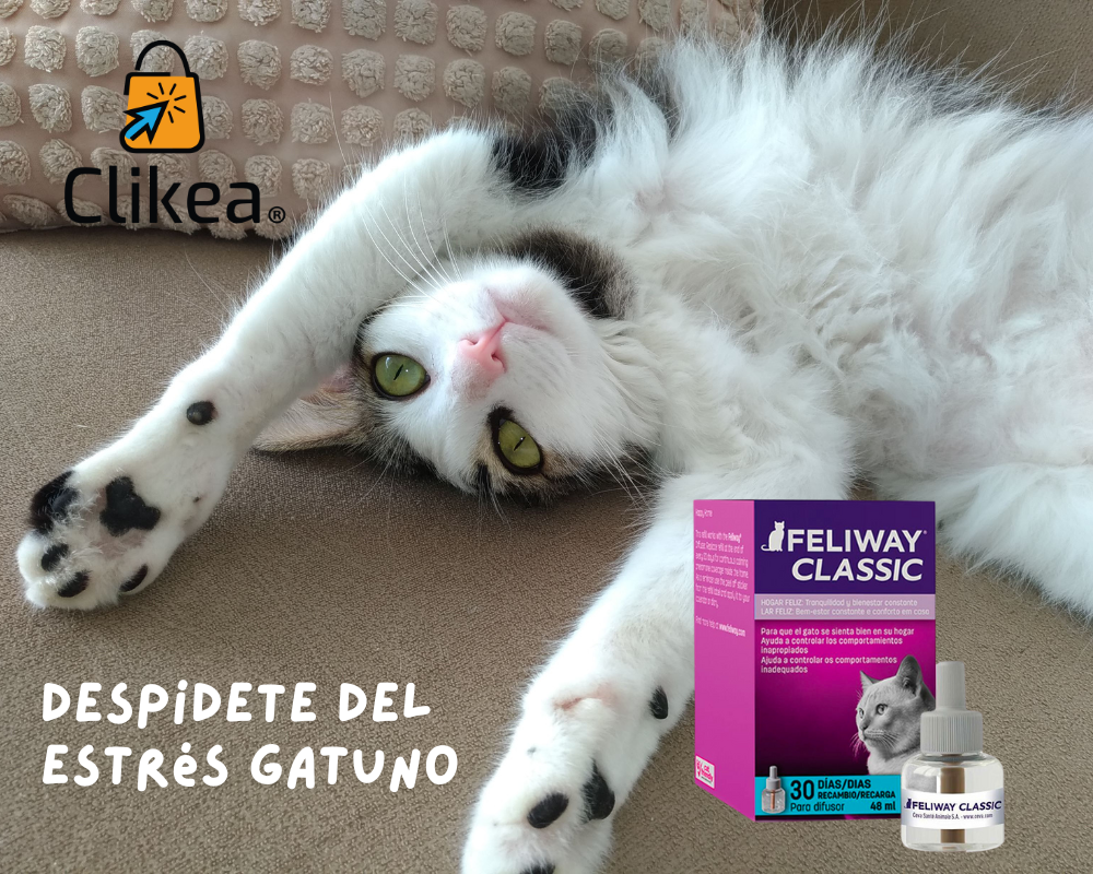 Feliway Classic: Desvelando los Secretos de la Tranquilidad Felina