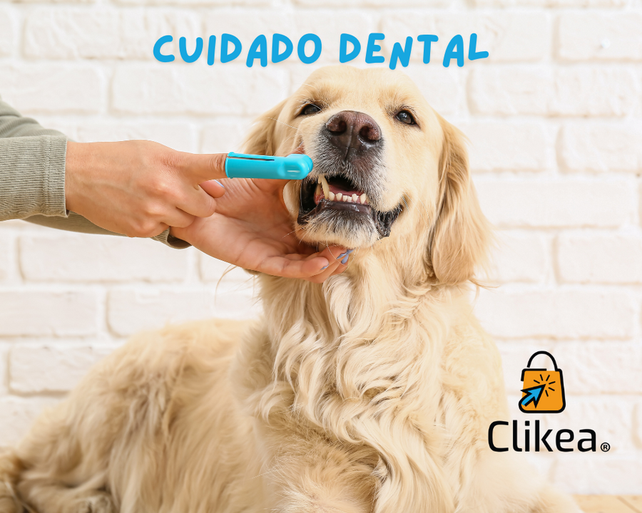 Cuidado Dental para Tu Peludito: Las Mejores Marcas a Considerar