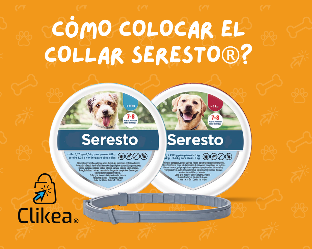 Guía Práctica: Cómo Colocar el Collar Seresto para Perros y Gatos