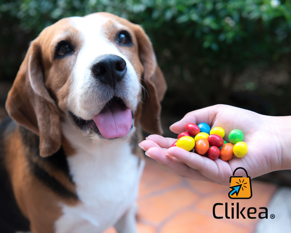 Alimentos Prohibidos para Perros y Gatos: Protege su Salud