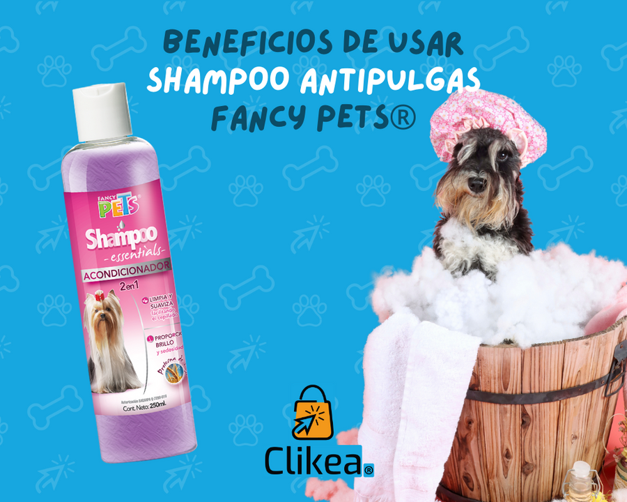 Fancy Pets: Shampoo Antipulgas para Perros, la Elegancia en la Protección