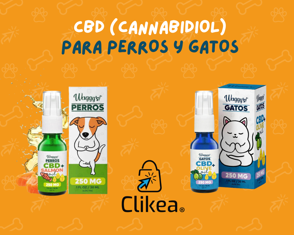CBD para Perros y Gatos: Un Bienestar Natural