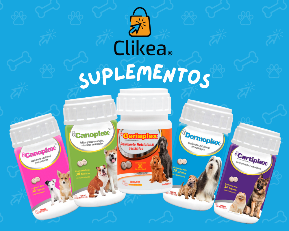 Suplementos Esenciales para el Bienestar de tus Mascotas