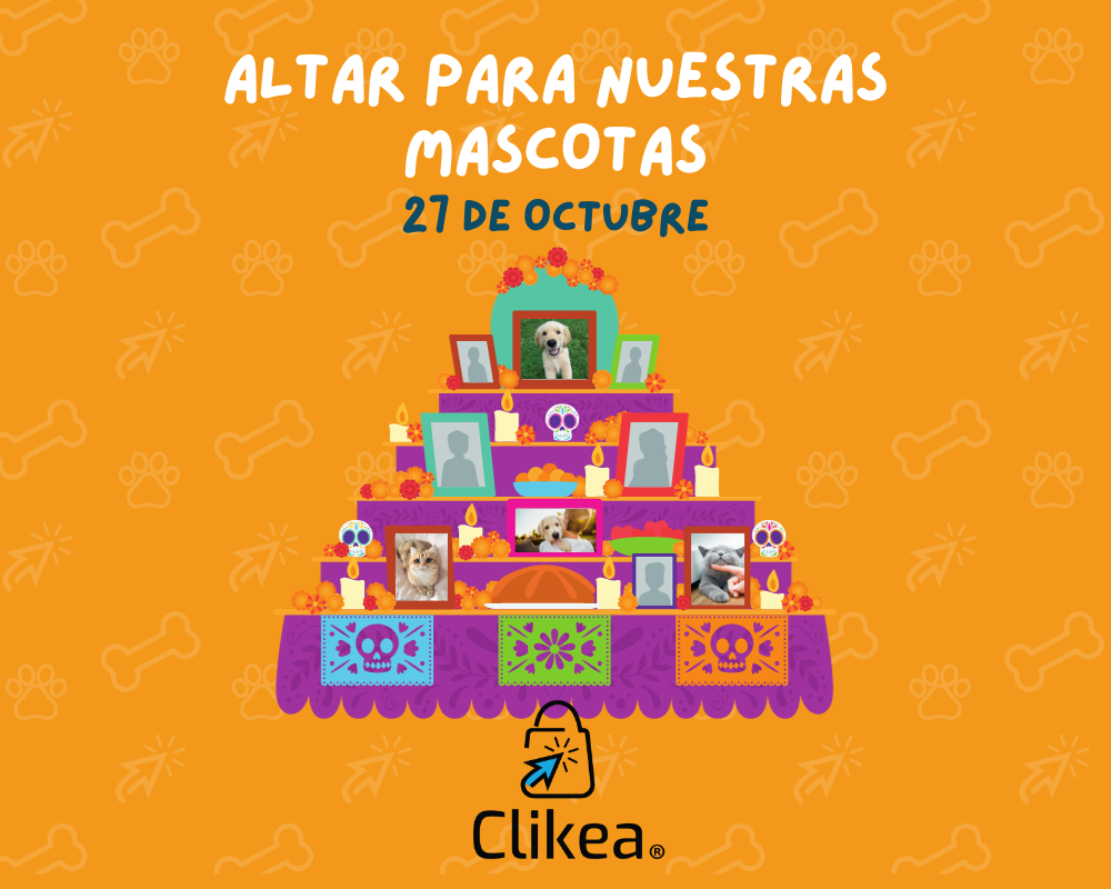 Cómo Hacer un Altar a tu Mascota: Un Homenaje Especial 🐾