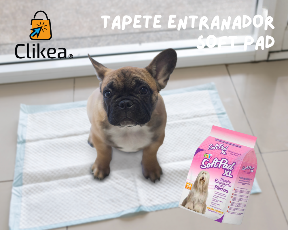 Tapete Entrenador Soft Pad: Tu Compañero Ideal en el Entrenamiento de Tu Cachorro