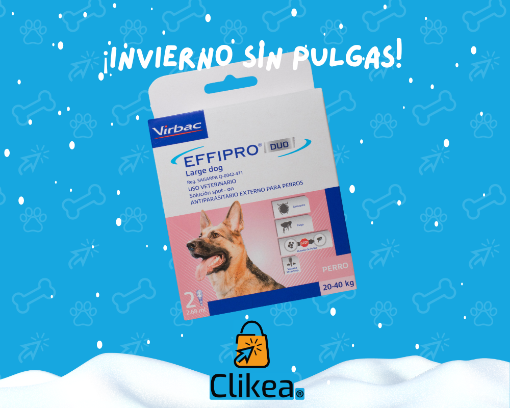 ¡Di Adiós a las Pulgas y Dale la Bienvenida al Invierno sin Picazón con Effipro Duo de Virbac!
