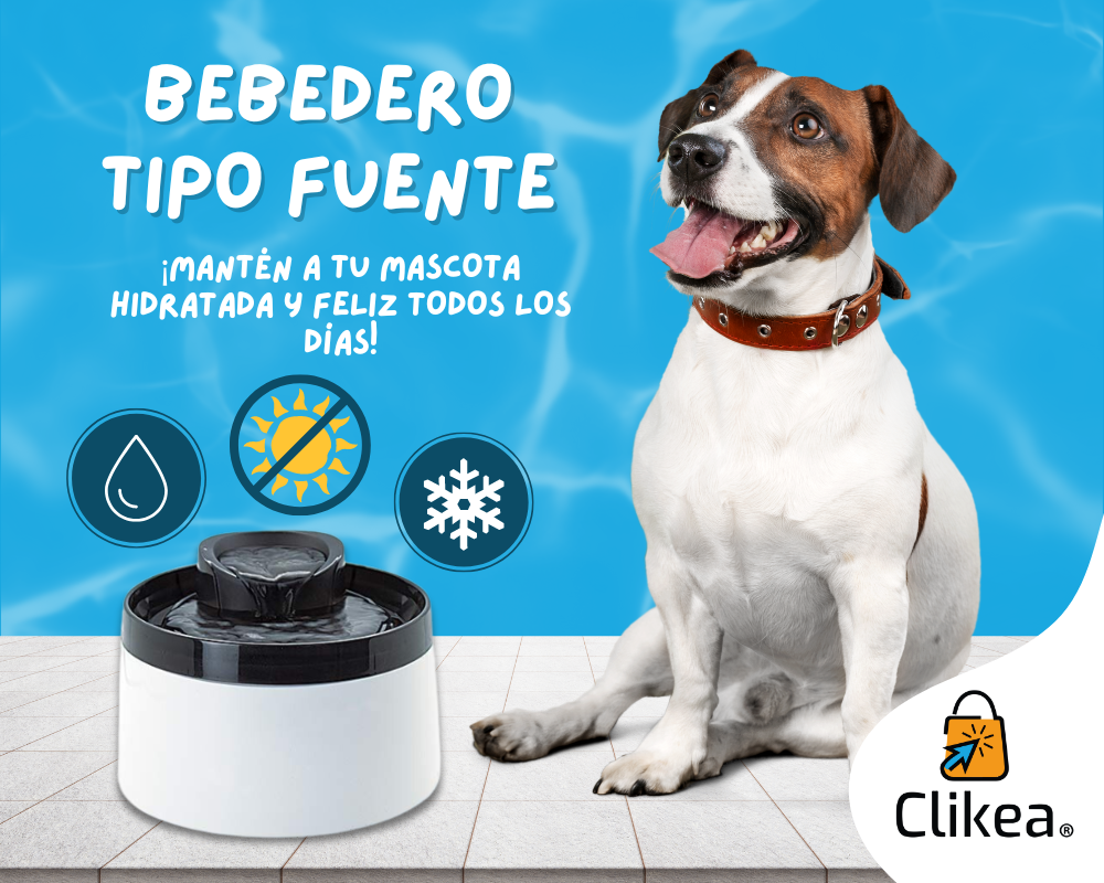 Tipos de Bebederos para Mascotas: Elige el Mejor para tu Compañero