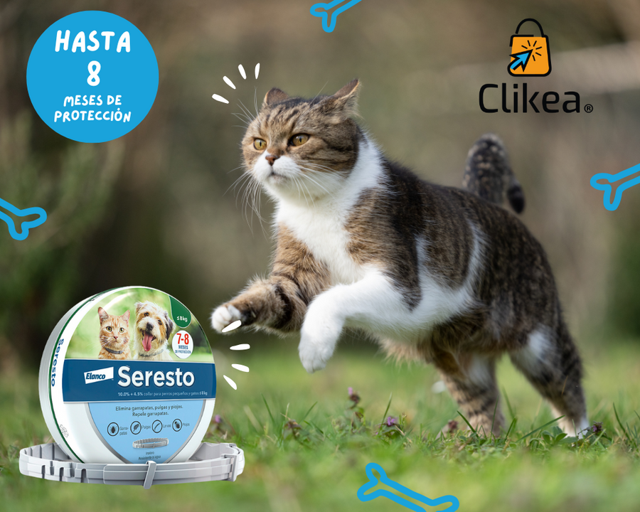 Descubre Seresto: Protección avanzada para tu mascota
