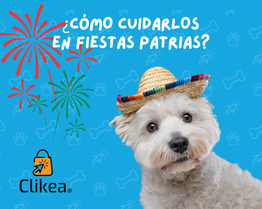 ¡Cómo Cuidar a Tus Mascotas en Fechas Patrias!