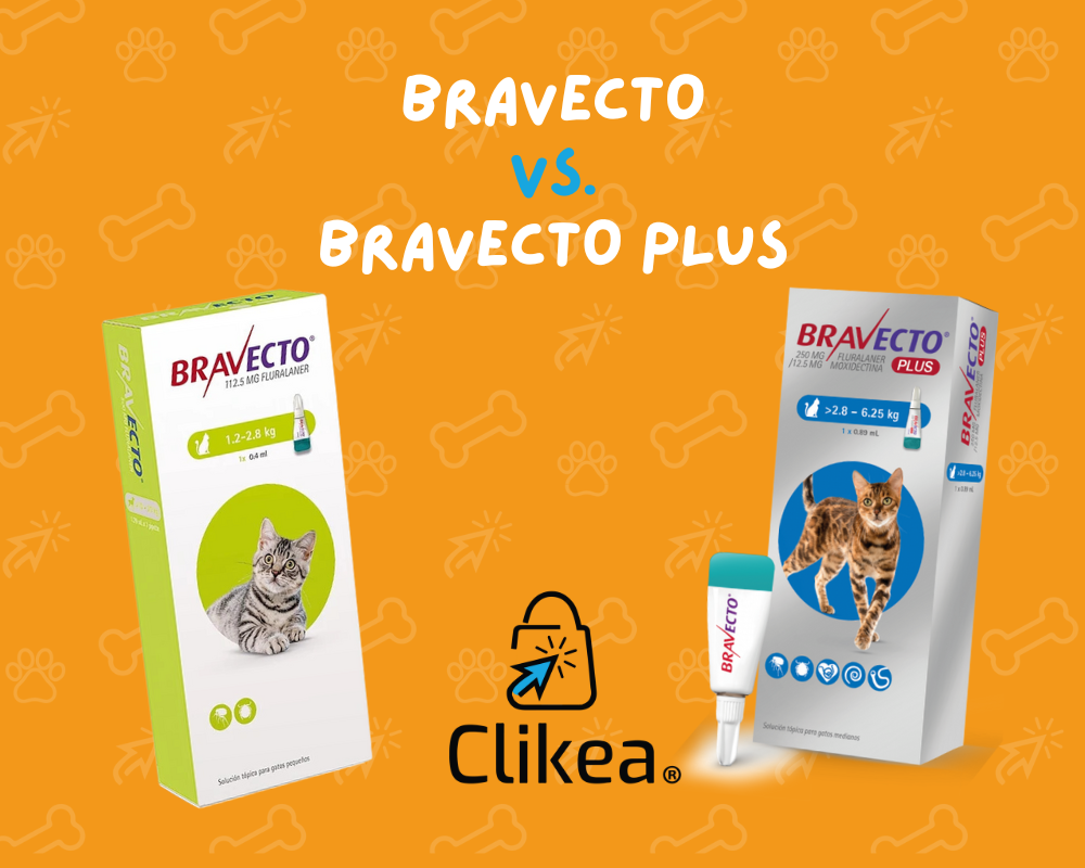 Bravecto vs. Bravecto Plus Una Comparación Detallada para la Protecci