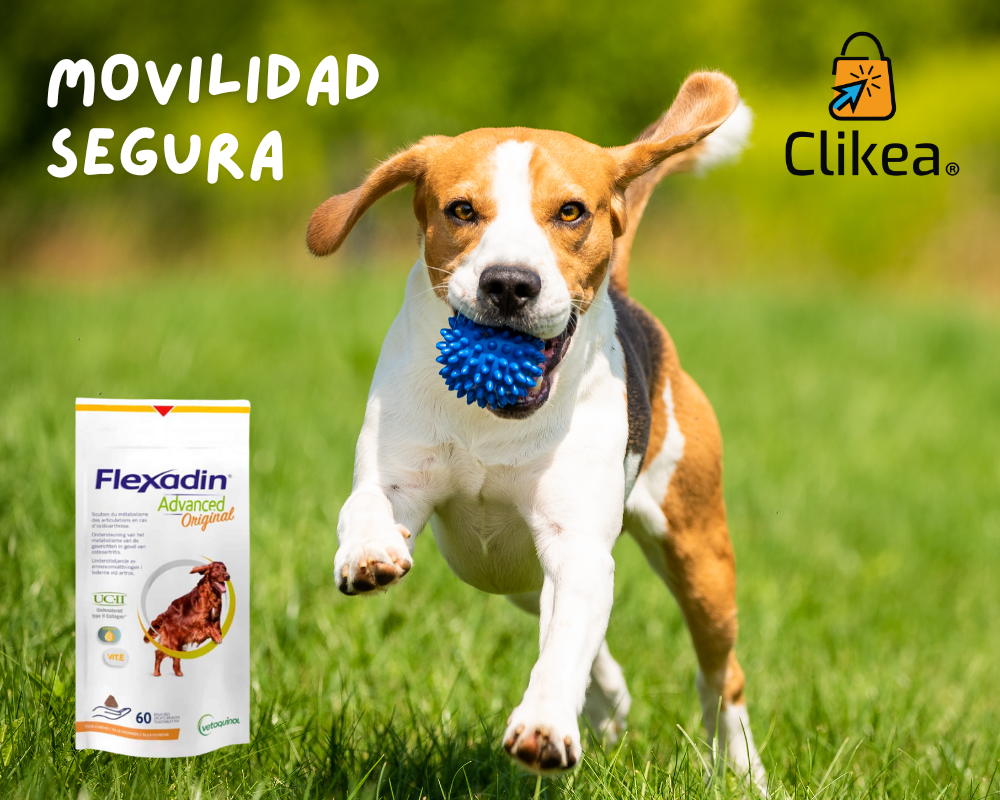 Flexadin Advanced: Tu Aliado en la Lucha contra la Artrosis