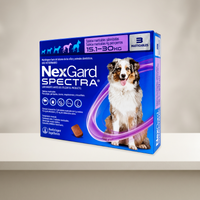 NexGard Spectra 3 Tabletas para Perros 15.1-30 Kg — presentación completa en ambiente neutro