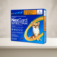 NexGard Spectra 1 Tableta para Perros 2-3.5 Kg — presentación completa en ambiente neutro