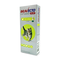 Bravecto Plus Gato 1.2 a 2.8 kg - pipeta 0.4 ml — empaque completo sobre blanco puro