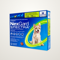 NexGard Spectra verde, caja completa de 3 tabletas para perros de 7.6 a 15 kg sobre fondo de estudio neutro continuo